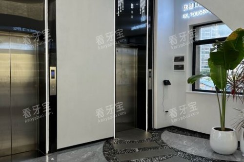 �����Ÿ���ǻ���ڻ���