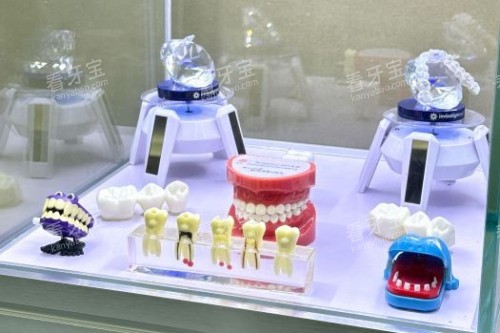 汕头牙博士口腔牙齿模型展示图 汕头牙博士口腔牙齿模型展示图