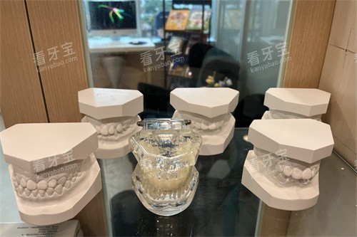 深圳瑞尔齿科牙齿模型 深圳瑞尔齿科牙齿模型
