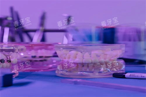 牙齿模型示意图展示 牙齿模型示意图展示