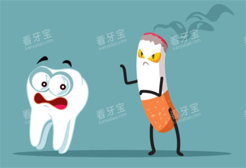 ��ֲ�����³���