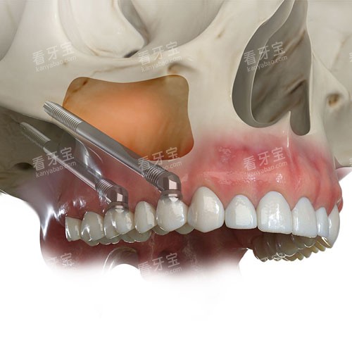 ������ֲlogo