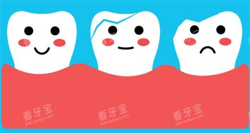 牙齿萌萌图 牙齿萌萌图