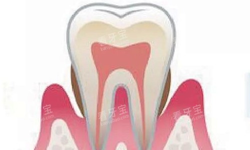 ����������չʾ